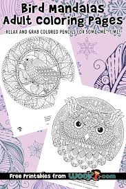 They are used for a variety of reasons, some for religious traditions, meditations, and sometimes for modern uses. Bird Mandalas Adult Coloring Pages Woo Jr Kids Activities
