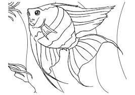 Angels coloring (coloring printed 2807 times). 35 Free Fish Coloring Pages Printable