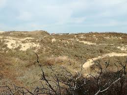 Résultat de recherche d'images pour "dunes de slack"