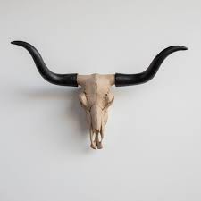 faux taxidermy texas longhorn skull