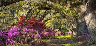 airlie gardens wilmington nc park