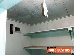 Cold Storage Room Mold Removal Service