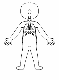 Clipart Human Body Resume Outline Human Body System