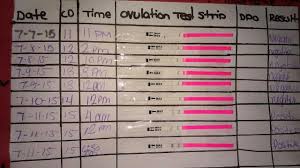 Diy Ovulation Pregnancy Test Strip Chart Glow Community