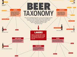Everything You Need To Know About Beer In One Chart