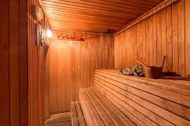 Sauna Basement Renovation Oakville