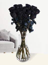 20 black roses surprose com