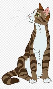 Designs are free to use with credit! Warrior Cats Designs Warrior Cats Drawings Leafpool Clipart 4862134 Pikpng