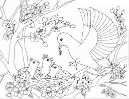 And you can freely use images for your personal blog! Birds Family On The Cherry Blossom Tree Coloring Page Free Printable Coloring Pages For Kids