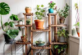 indoor gardening systems endless plant