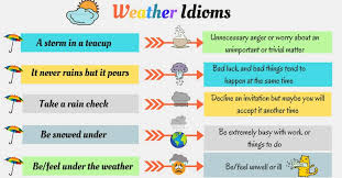 interesting idioms to weather