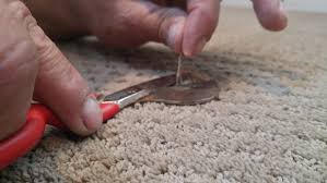 should i trim the loose carpet fibers