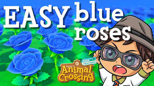 easiest blue roses using improved
