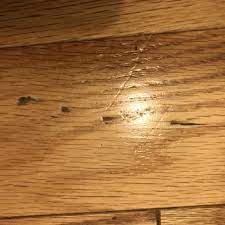 best hardwood floors in tee fl