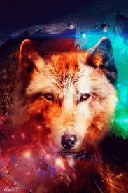 wolf wallpaper gif wolf wallpaper
