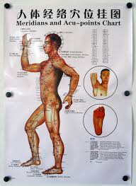 Usd 12 99 Human Meridian Point Wall Chart Acupuncture