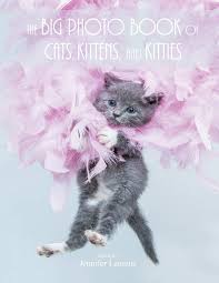 We all need a little lift every once in a while and these cute furry felines certainly deliver. Amazon Com The Big Photo Book Of Cats Kittens And Kitties Over 150 Super Size High Quality Photos 9791188195114 Lauretti Jennifer Books