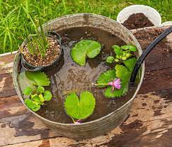 how to plant a water container garden