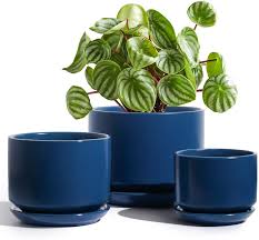 navy color design ceramic plant pots