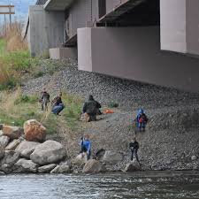 Montana Fishing Report Salmonfly Hatch Nears On Big Hole