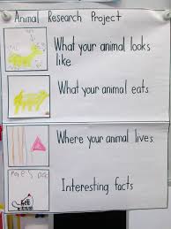    best Homeschooling  Reports and Research Papers images on     This week in Animal Research     Nov         Animal Research   Pinterest    Animals