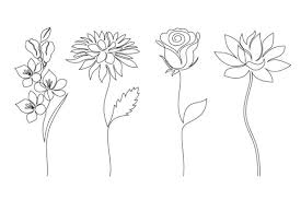 flower line art graphic by