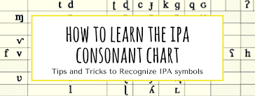 How To Learn The Ipa Consonant Chart Reach For The Speech