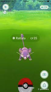 My City Has a Rattata Problem: A Concerned Pokemon Go Player