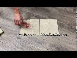 solution d pet friendly carpet