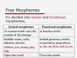 Functional morphemes is a free morpheme that is used as a function word like an. Introduction To English Morphology Ppt Download