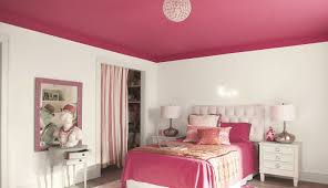 paint is suitable for ceilings