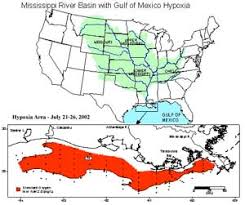 The Gulf Of Mexico Dead Zone