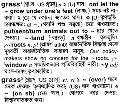 Online dictionary english to bangla. Grass Bengali Meaning Grass Meaning In Bengali At English Bangla Com Grass à¦¶à¦¬ à¦¦ à¦° à¦¬ à¦² à¦…à¦° à¦¥