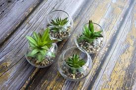 Mini Artificial Succulents In Glass Pot