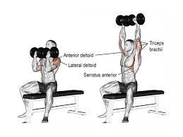 deltoid exercises for boulder shoulders