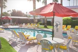 pet friendly hotels in palm springs
