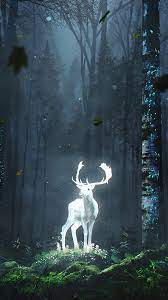 deer forest night nature fantasy hd 4k