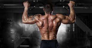 5 exercises for increasing back m