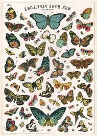 Cavallini Co Butterfly Chart Decorative Decoupage Poster