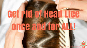 get rid of head lice once
