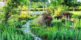 texas botanical gardens arboretums