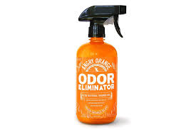 the 8 best cat odor and stain