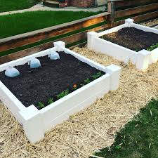 front yard raised bed vegetable garden