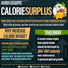 calories for bulking the muscle phd