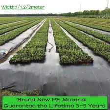 Pe Greenhouse Weed Control Mat