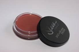 sleek make up pout polish in pride