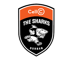 sharks rugby