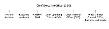 Part 1 The Role Of A Corporate Chief Of Staff Cos Tech