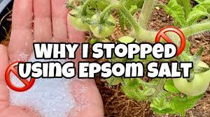 epsom salt for plants why i don t use