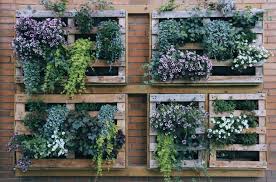 12 Simple Front Garden Ideas Perth
